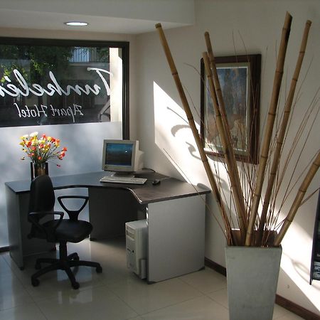Tunkelen Apart Hotel Mendoza Bagian luar foto